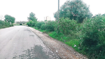 Maya Gets in a Stranger's Car and Fucks Him