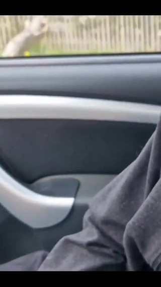 This Is How I Sometimes Have to Entertain Myself