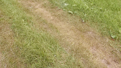 Random Passerby Watching Sex in Backseat of Car. Outdoors