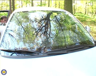 She Really Loves Those Dicks