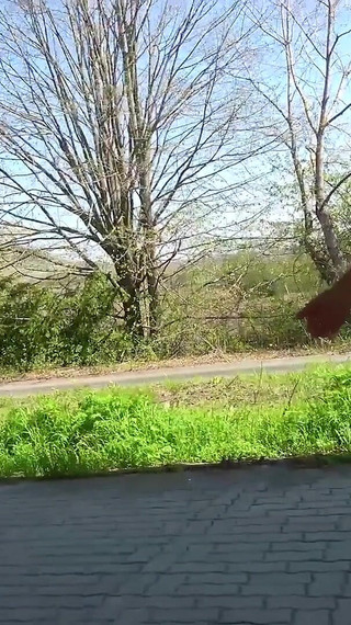 Alois From Austria - Fanfuckers